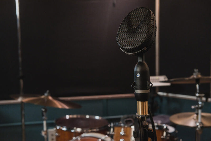 Buyer's Guide: Ribbon Microphones