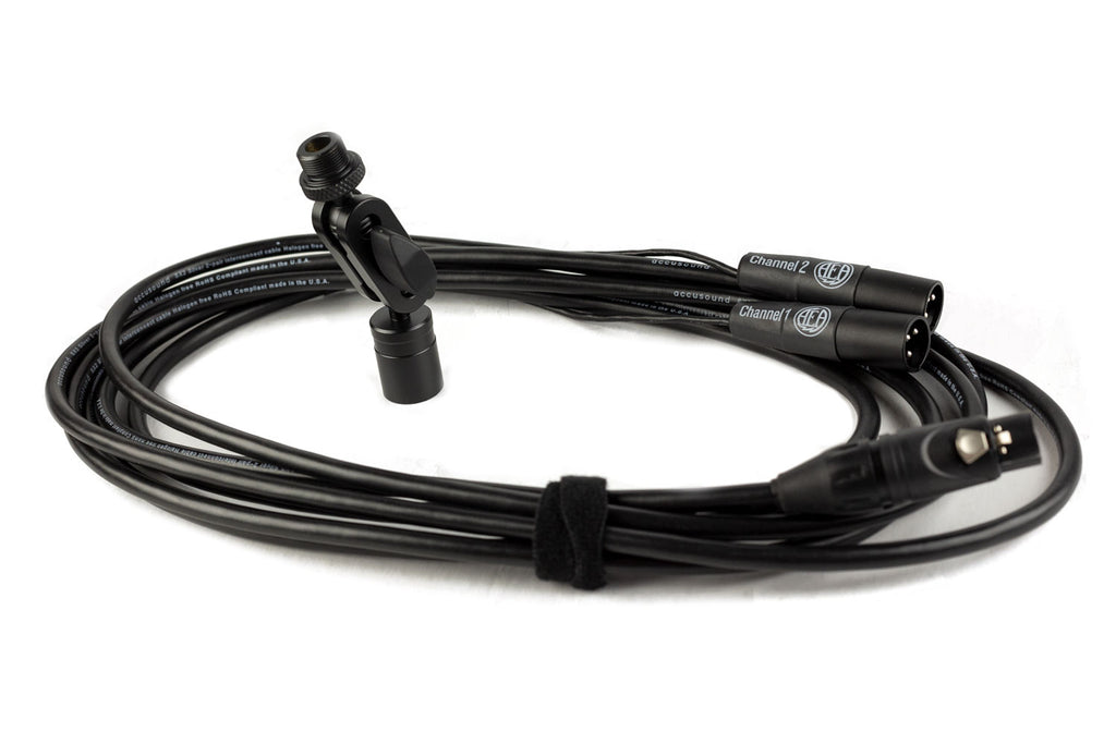 AEA R88 Mk II Ribbon Microphone #0878 (Used)