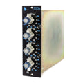 API 550B Equalizer #6069-10 (Used) 1