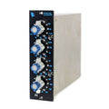API 550B Equalizer #6509-11 (Used) 1