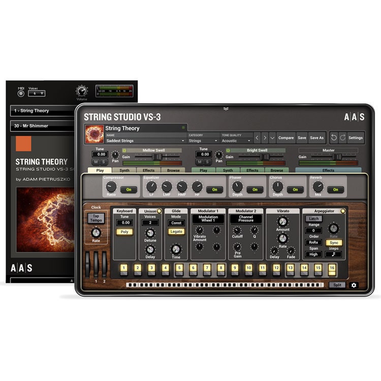 Applied Acoustics String Theory - Sound Packs for SS VS-3