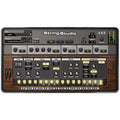 Applied Acoustics String Studio VS-2 String Modeling - Ele D