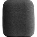 Austrian Audio OCW8 Windshield for OC818 and OC18