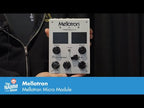 Mellotron Micro Module Ultra-Compact Digital Mellotron