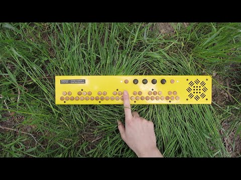 Critter & Guitari Septavox - Yellow
