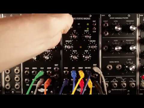 Noise Engineering Manis Iteritas Magnus - Black