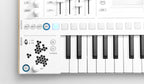 Kiviak Instruments WoFI Cloud-Connected Sampler Synthesizer (Demo Deal)