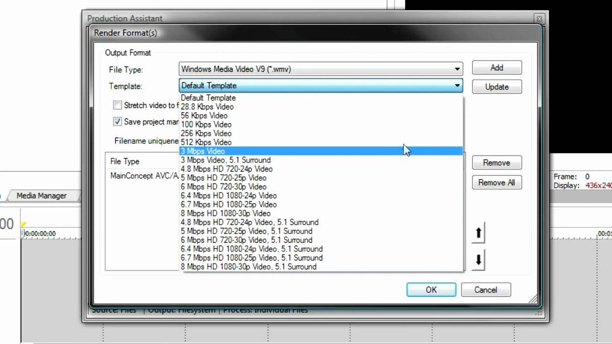Vegas Pro Production Assistant 2 ESD