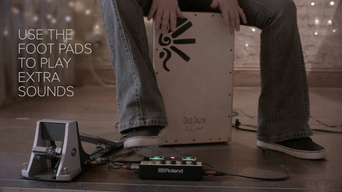 Roland EC-10M ELCajon Mic Processor