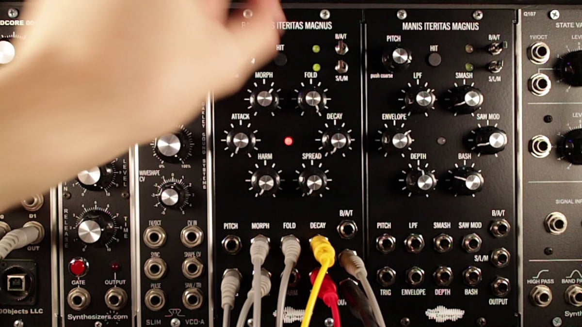 Noise Engineering Basimilus Iteritas Magnus - Black