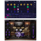 Modalics Groove Mastery Bundle - Electronic Delivery