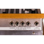 Moog Music Minimoog Model D