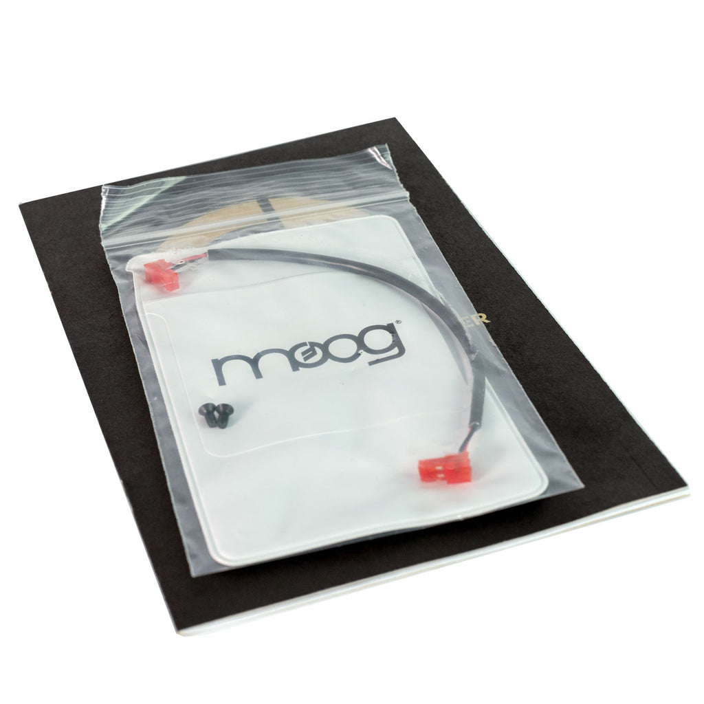 Moog Music The Ladder #0634 (Used)