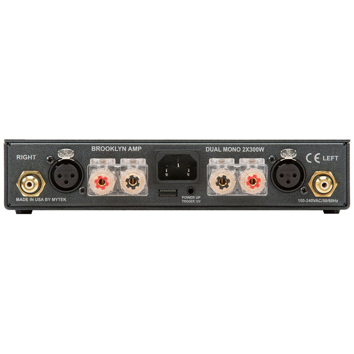 Mytek Digital Brooklyn AMP Silver Frost Matte