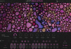 Native Instruments Komplete 15 Select Band - Electronic Delivery