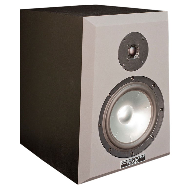 Ocean Way Audio Pro2A Active Reference Monitor - Single