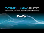 Ocean Way Audio Pro2A Active Reference Monitor - Single