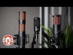 Antelope Zen Tour with Edge Solo Modeling Microphone