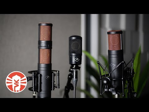 Antelope Zen Tour with Edge Solo Modeling Microphone