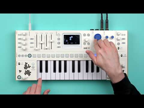 Kiviak Instruments WoFI Cloud-Connected Sampler Synthesizer (Demo Deal)