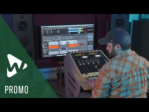 Steinberg WaveLab Pro 12 Mastering Software Suite - Electronic Delivery