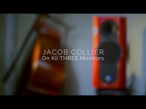 Kii Three Pro DSP Controlled Speaker - Single
