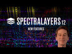Steinberg SpectraLayers Pro 12 Audio Restoration Software - Electronic Delivery