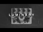 Walrus Audio Luminary Octave Generator