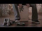 Roland EC-10M ELCajon Mic Processor