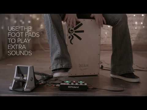 Roland EC-10M ELCajon Mic Processor