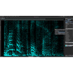 Steinberg SpectraLayers Pro 12 Audio Restoration Software - Electronic Delivery