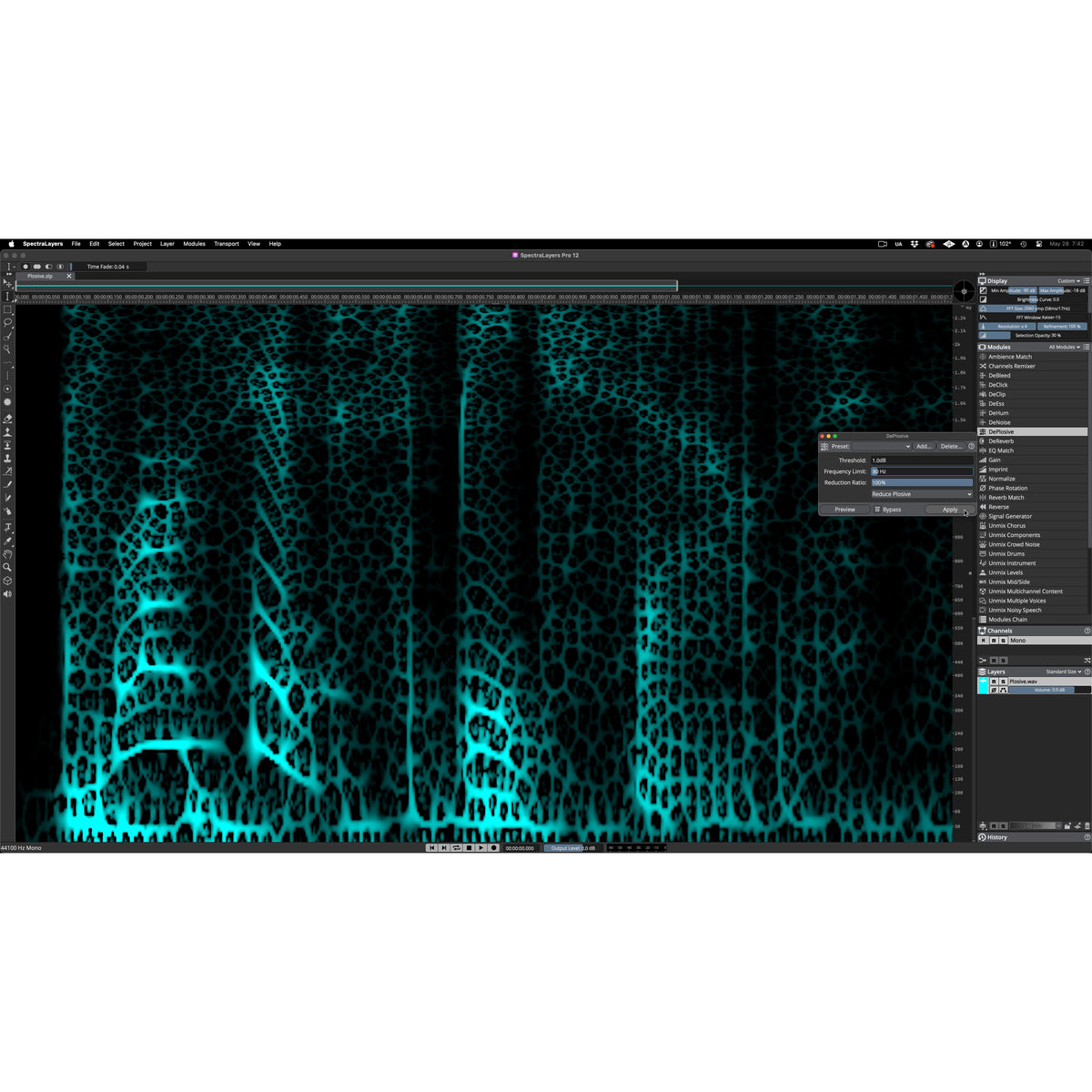 Steinberg SpectraLayers Pro 12 Audio Restoration Software - Electronic Delivery