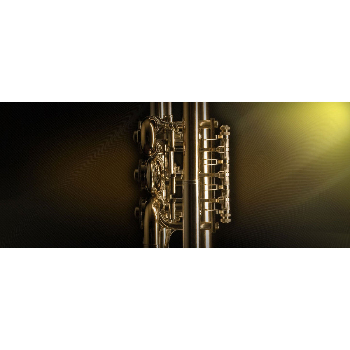 Vienna Symphonic Brass Bundle Upgrade - Electronic Delivery