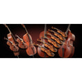 Vienna Symphonic Chamber Strings Bundle Full - Electronic Delivery