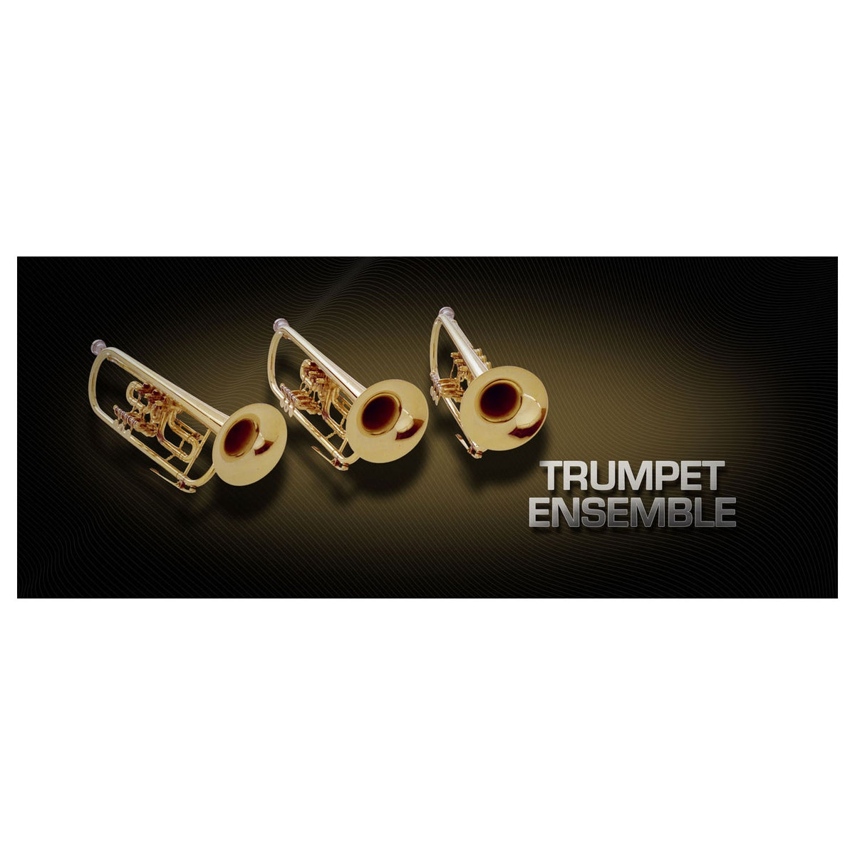 Vienna Symphonic Trumpet Ensemble Full - Electronic Delivery