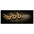 Vienna Symphonic Trumpet Ensemble Muted UPG To Full-Electronic Delivery