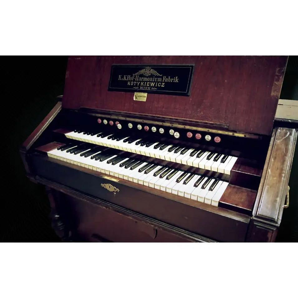Vienna Symphonic Harmonium Standard- Electronic Delivery