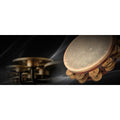 Vienna Symphony Lib Percussion Complete Upgrade to Full - Electronic Delivery