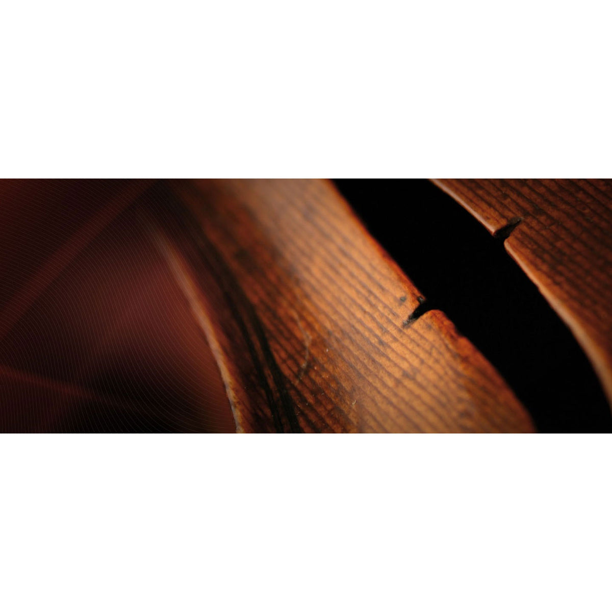 Vienna Symphonic Vienna Strings Complete Full - Electronic Delivery
