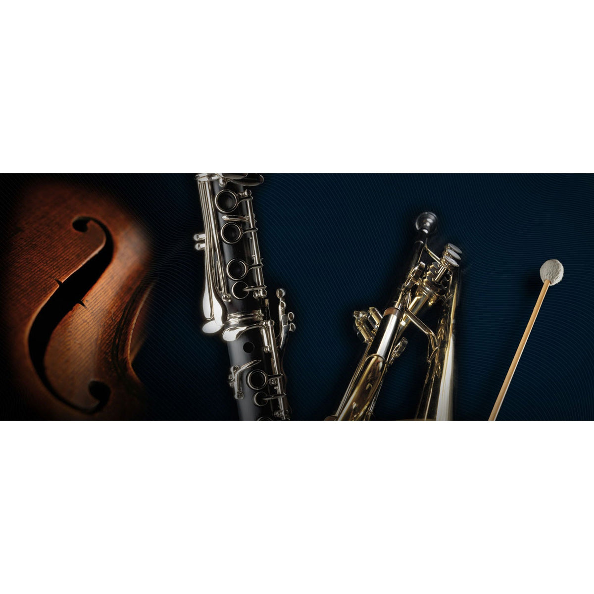 Vienna Symphonic Super Package Full - Electronic Delivery