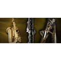 Vienna Symphonic Winds Complete Upgrade to Full - Electronic Delivery