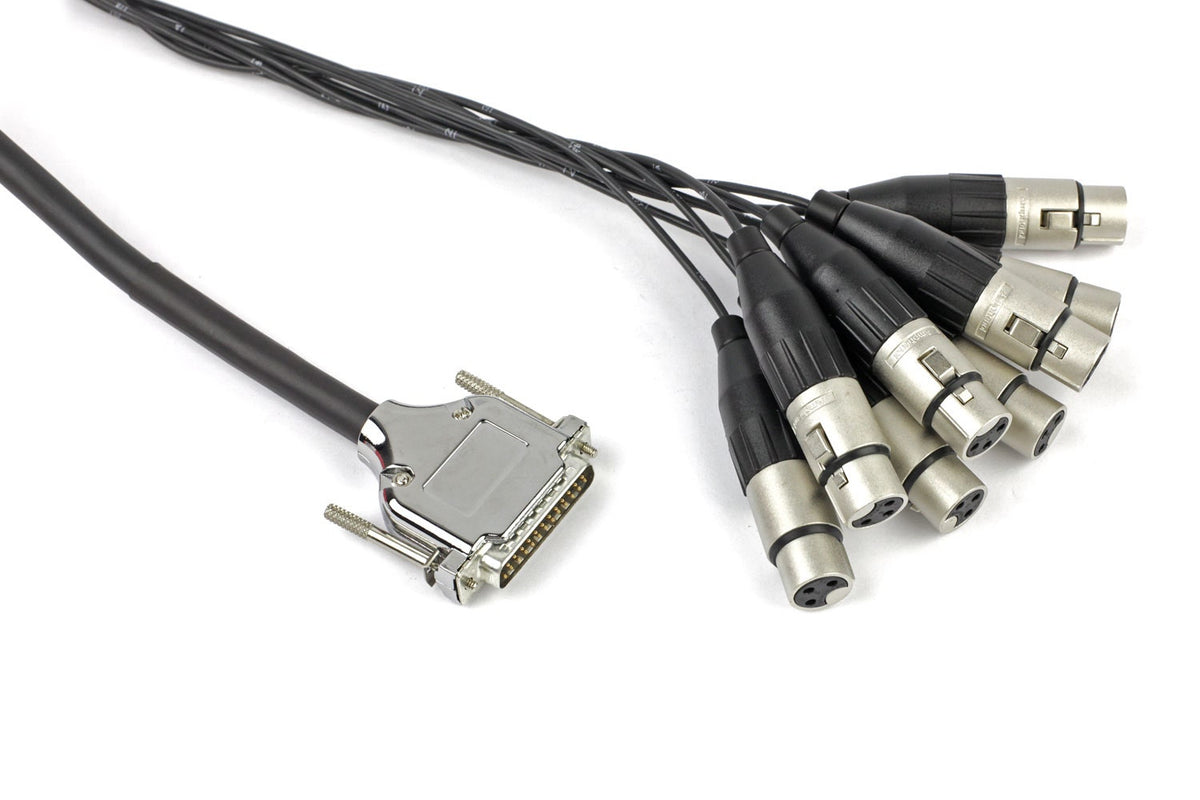 Vintage King Basic Series DB25 - XLRF - 10'