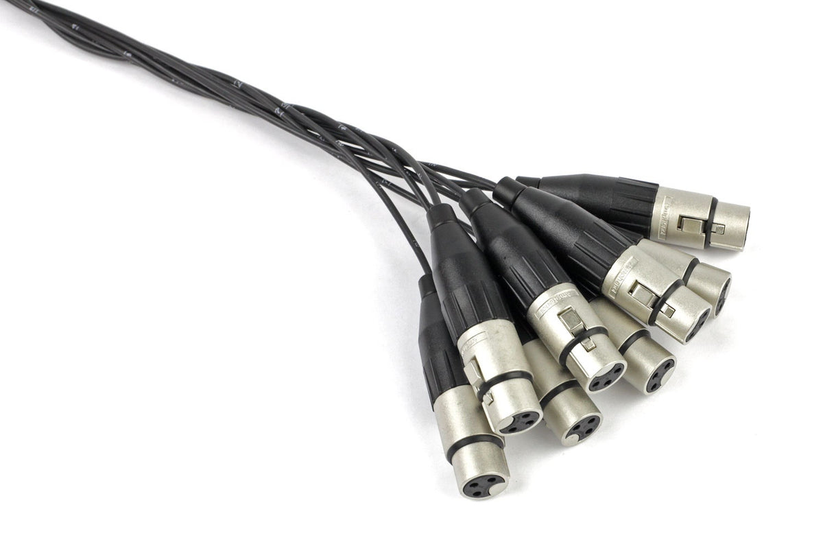 Vintage King Basic Series DB25 - XLRF - 10'