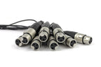 Vintage King Basic Series DB25 - XLRF - 10'
