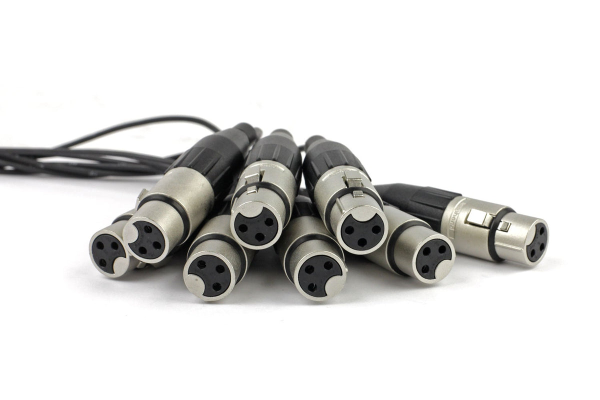 Vintage King Basic Series DB25 - XLRF - 10'