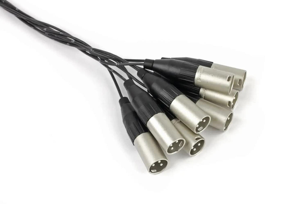Vintage King Basic Series DB25 - XLRM - 5'