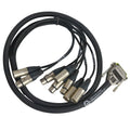 Vintage King Project Series AES/EBU DB25 Yamaha Pinout to 4 XLRF/4 XLRM Cable - 5'