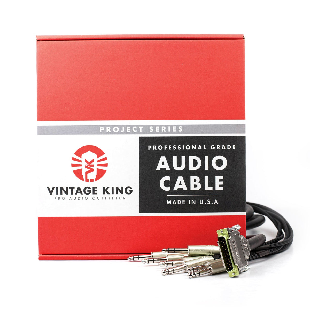 Vintage King Project Series DB25 - TRS - 10' (Demo Deal)