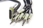 Vintage King Project Series DB25 - TRS - 10' (Demo Deal)