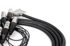 Vintage King Project Series DB25-XLRF-5' (Demo Deal)